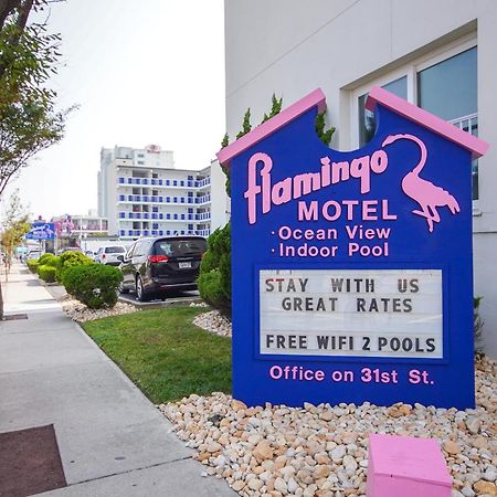 Flamingo Motel โอเชียนซิตี้ ภายนอก รูปภาพ