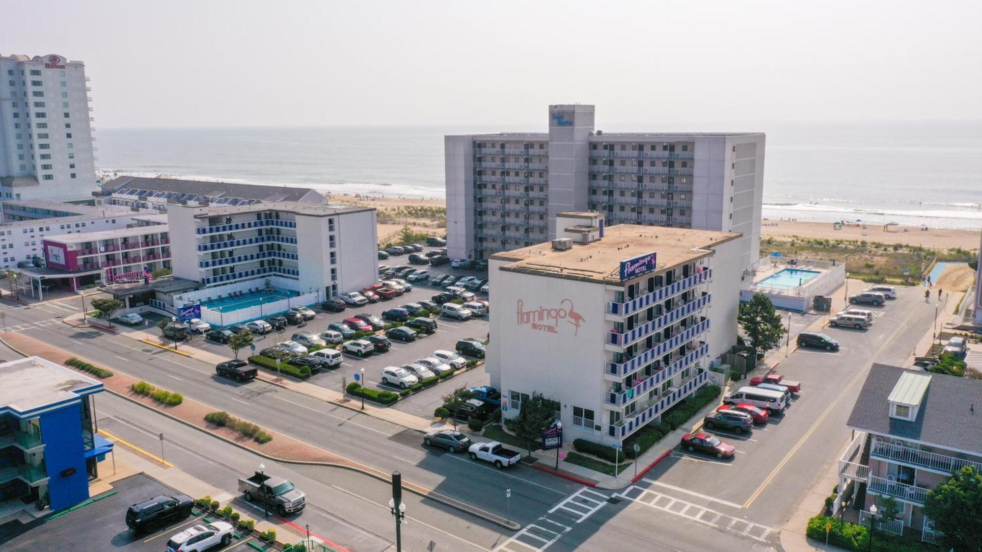 Flamingo Motel โอเชียนซิตี้ ภายนอก รูปภาพ