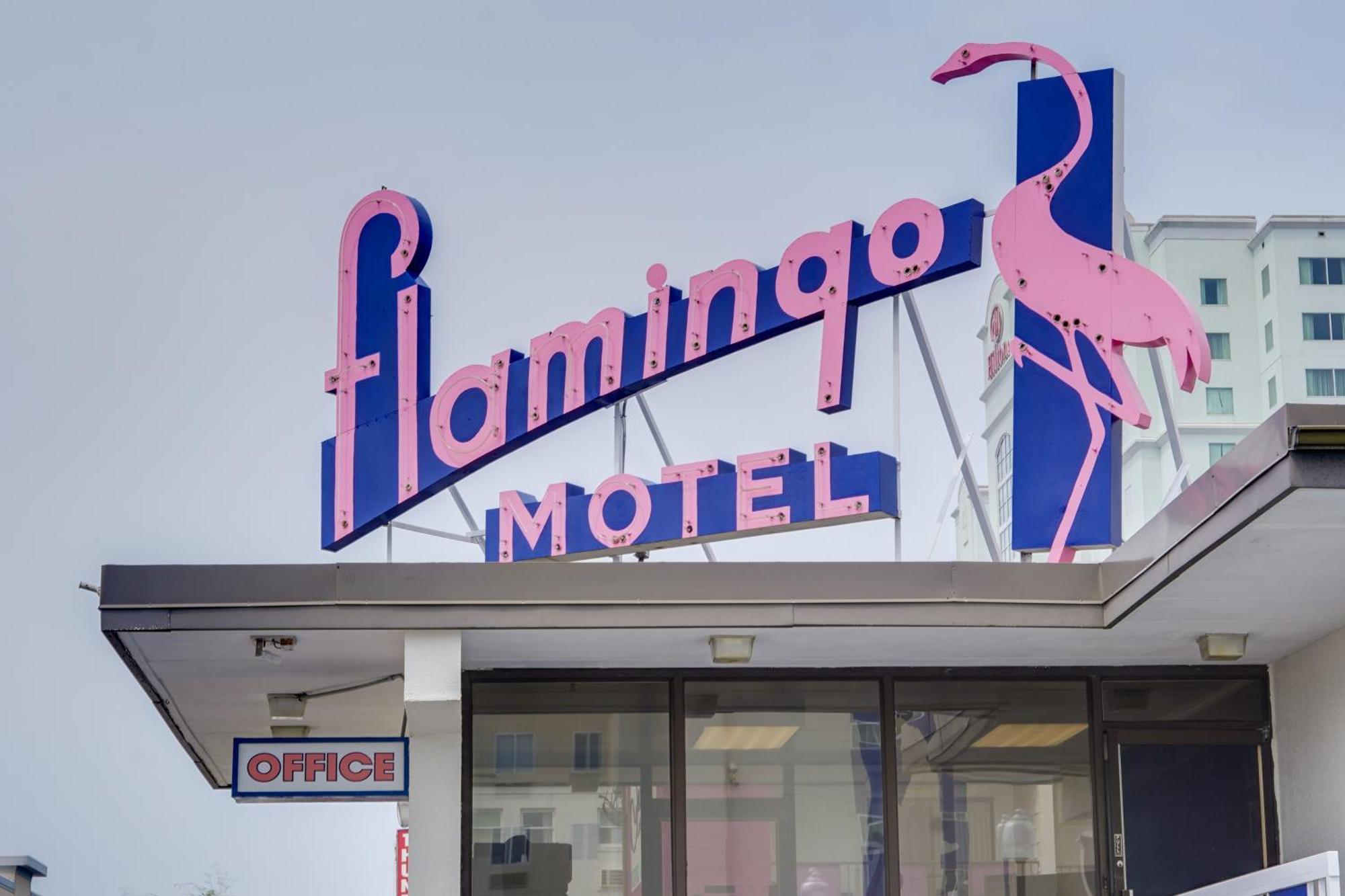 Flamingo Motel โอเชียนซิตี้ ภายนอก รูปภาพ