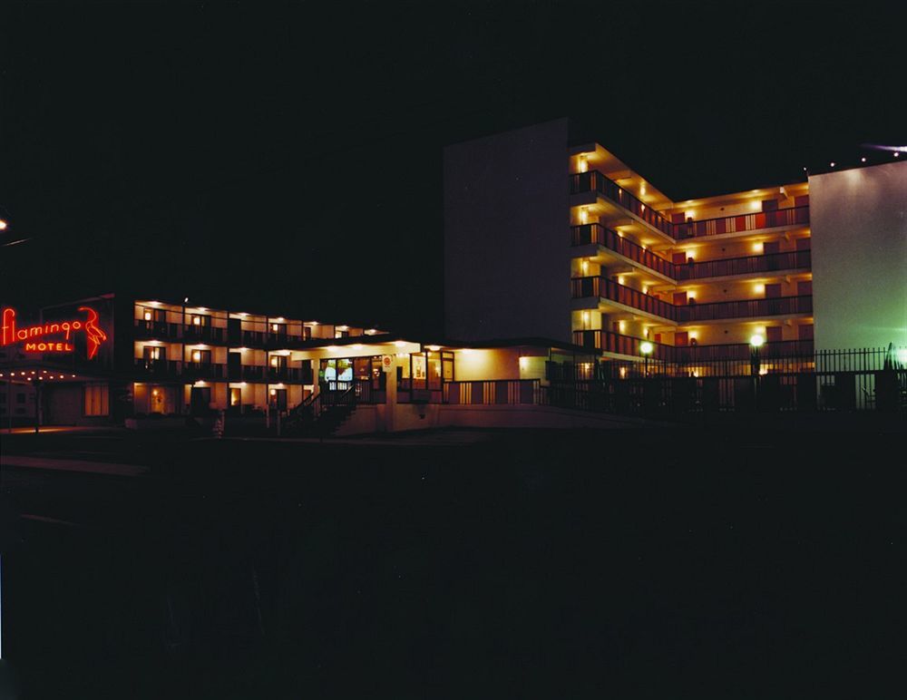 Flamingo Motel โอเชียนซิตี้ ภายนอก รูปภาพ